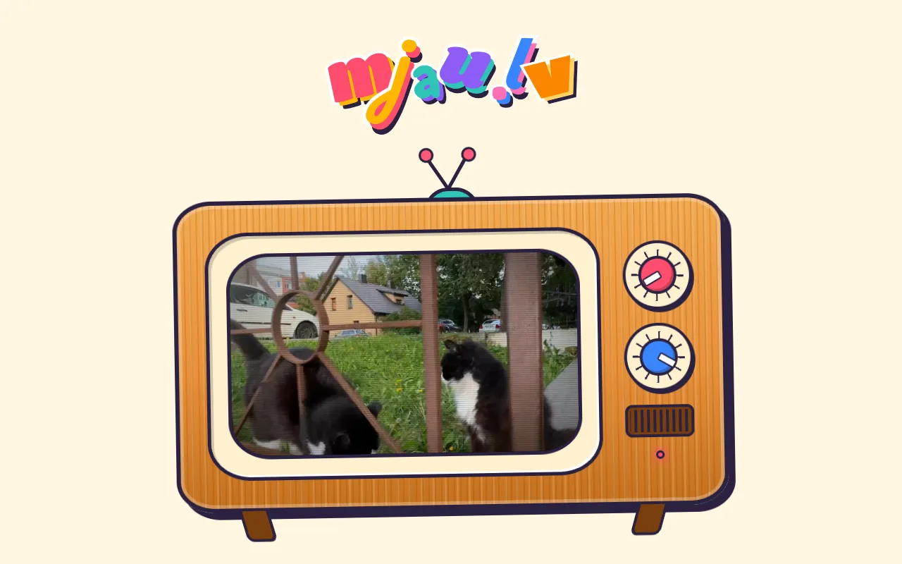 mjau.lv screenshot